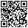 QR Code Handyversion