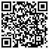 QR Code Handyversion