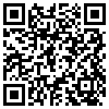 QR Code Handyversion