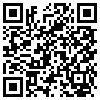 QR Code Handyversion