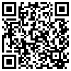 QR Code Handyversion