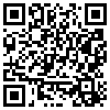 QR Code Handyversion