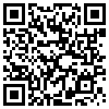 QR Code Handyversion