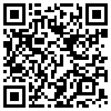 QR Code Handyversion