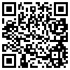 QR Code Handyversion