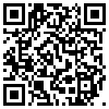 QR Code Handyversion