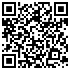 QR Code Handyversion