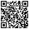 QR Code Handyversion