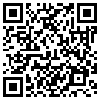 QR Code Handyversion