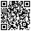 QR Code Handyversion