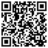 QR Code Handyversion