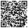 QR Code Handyversion