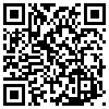 QR Code Handyversion