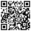 QR Code Handyversion