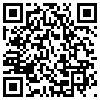 QR Code Handyversion