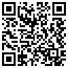 QR Code Handyversion