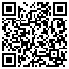 QR Code Handyversion