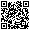 QR Code Handyversion