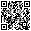 QR Code Handyversion