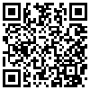 QR Code Handyversion