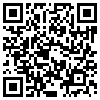 QR Code Handyversion