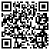 QR Code Handyversion