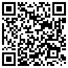 QR Code Handyversion