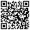 QR Code Handyversion