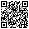 QR Code Handyversion