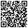 QR Code Handyversion