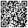 QR Code Handyversion