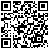 QR Code Handyversion