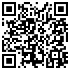 QR Code Handyversion