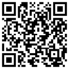 QR Code Handyversion