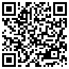 QR Code Handyversion