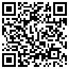 QR Code Handyversion