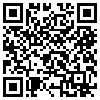 QR Code Handyversion