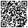 QR Code Handyversion