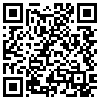 QR Code Handyversion