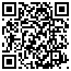 QR Code Handyversion