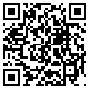 QR Code Handyversion