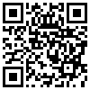 QR Code Handyversion