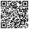 QR Code Handyversion