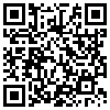 QR Code Handyversion