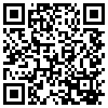 QR Code Handyversion