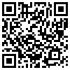 QR Code Handyversion