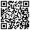 QR Code Handyversion