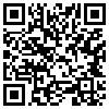 QR Code Handyversion