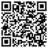 QR Code Handyversion