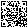 QR Code Handyversion